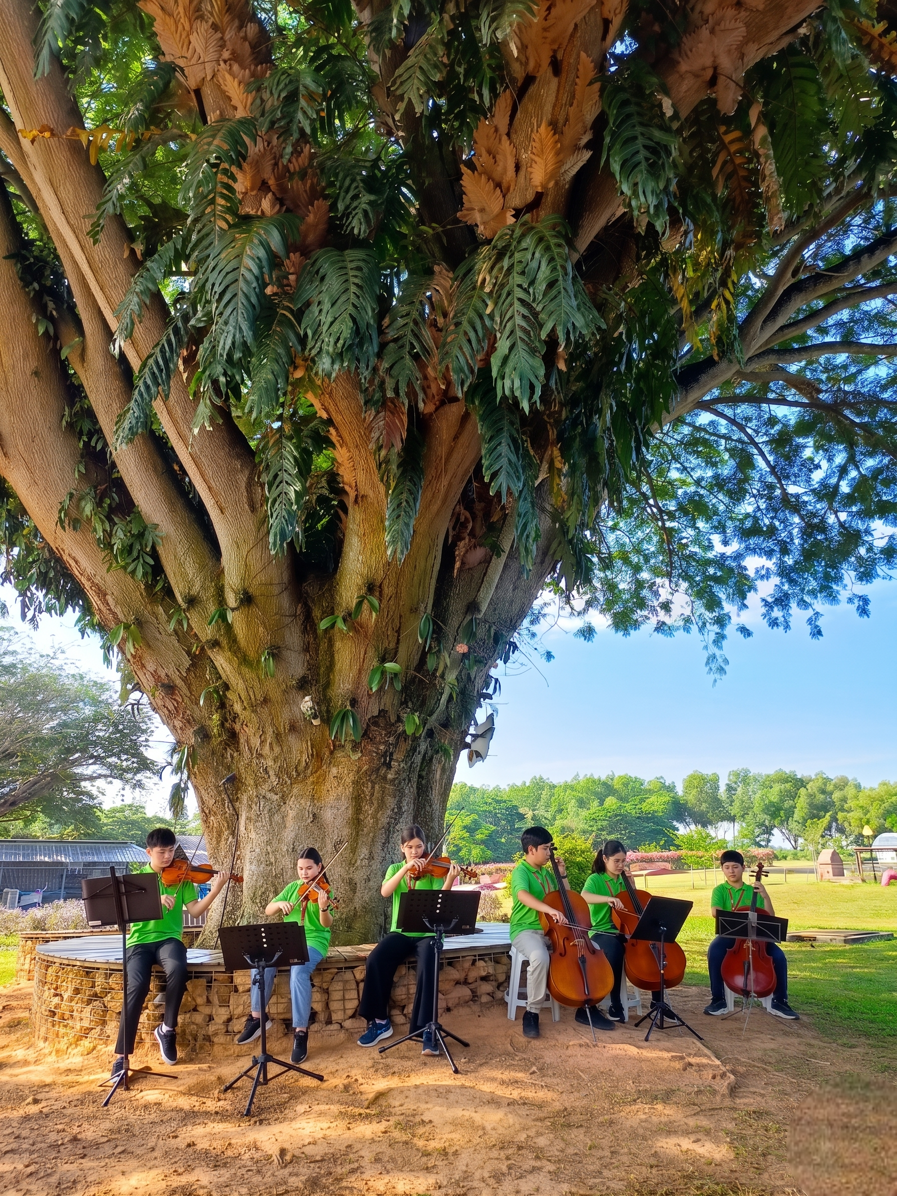 Farm Fresh Music Camp Activities